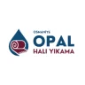 Opal Halı Yıkama